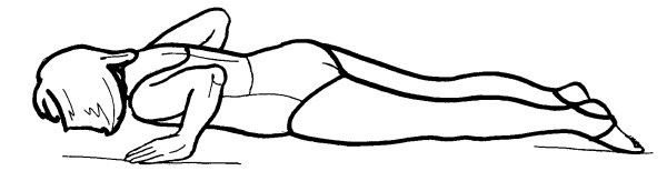 Иллюстрация к книге — Йога для всех. Путь к здоровью [i_344.jpg]