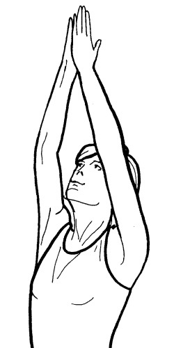 Иллюстрация к книге — Йога для всех. Путь к здоровью [i_355.jpg]