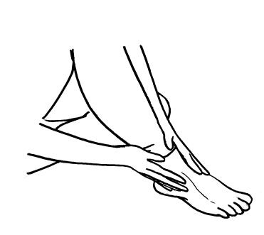 Иллюстрация к книге — Йога для всех. Путь к здоровью [i_362.jpg]