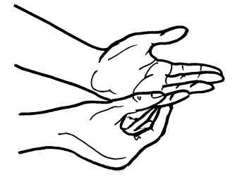 Иллюстрация к книге — Йога для всех. Путь к здоровью [i_363.jpg]