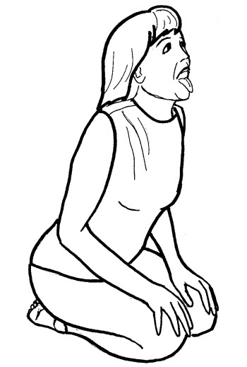 Иллюстрация к книге — Йога для всех. Путь к здоровью [i_369.jpg]