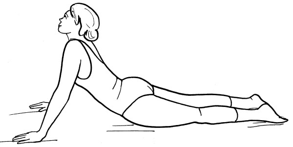 Иллюстрация к книге — Йога для всех. Путь к здоровью [i_380.jpg]