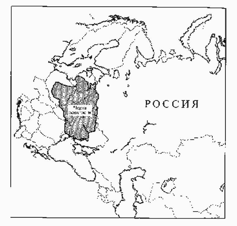 Иллюстрация к книге — Золотая страна. Нью-Йорк, 1903. Дневник американской девочки Зиппоры Фельдман [i_001.jpg]