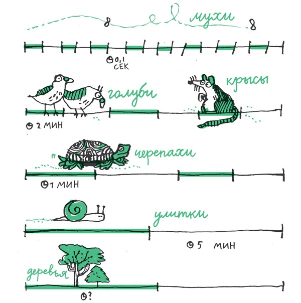 Иллюстрация к книге — Удивительные приключения запредельно невероятной, исключительно неповторимой, потрясающей, ни на кого не похожей Маулины Шмитт. Часть 2. В ожидании чуда [image_89.jpg]