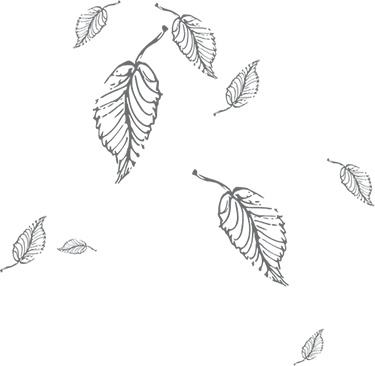Иллюстрация к книге — Кухня. Записки повара [i_097.jpg]