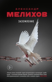 Книга Заземление Книга Заземление