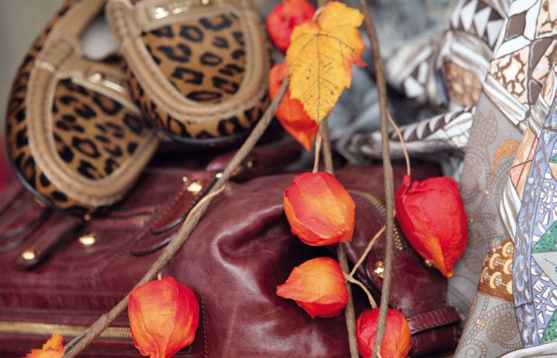 Иллюстрация к книге — Маленькие секреты большого гардероба [_145.jpg]