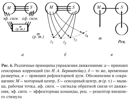 Иллюстрация к книге — Введение в общую психологию: курс лекций [i_008.jpg]