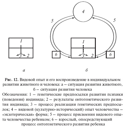 Иллюстрация к книге — Введение в общую психологию: курс лекций [i_014.jpg]