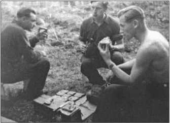 Иллюстрация к книге — &quot;Тигры&quot; в снегу. Мемуары танкового аса [i_224.jpg]