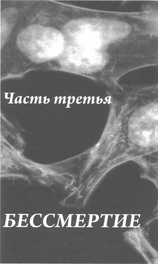Иллюстрация к книге — Бессмертная жизнь Генриетты Лакс [i_016.jpg]