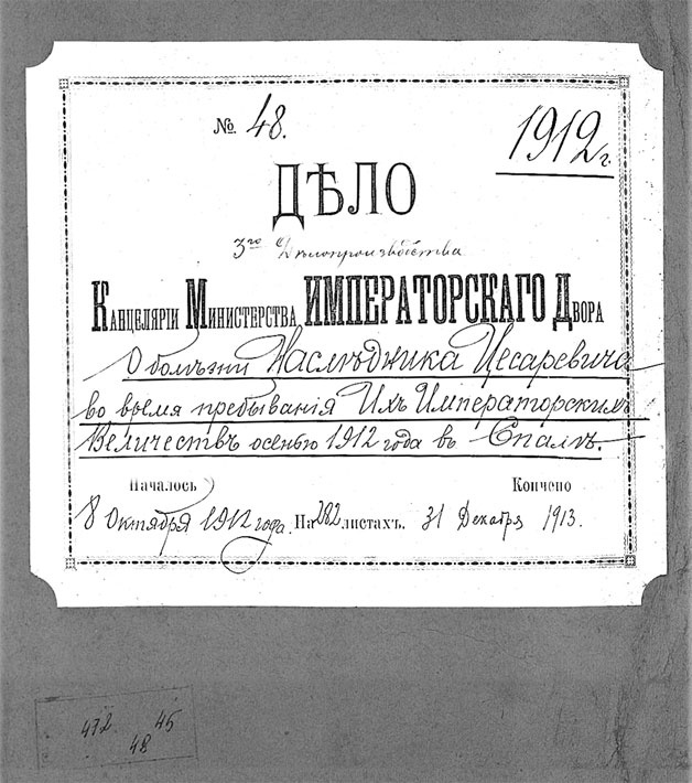 Иллюстрация к книге — Врачи двора его Императорского величества, или Как лечили царскую семью [_216.jpg]