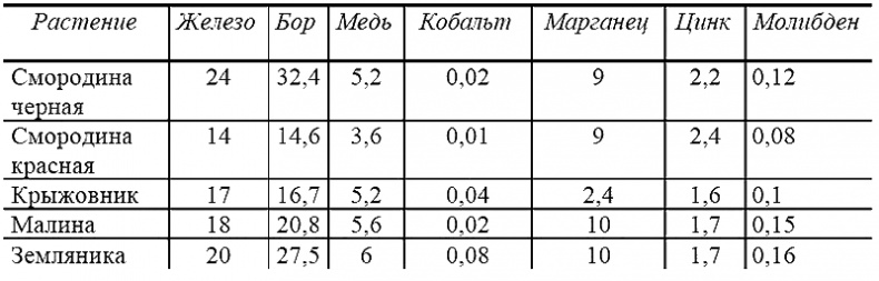 Иллюстрация к книге — Годовой цикл работ в саду и огороде [i_013.jpg]