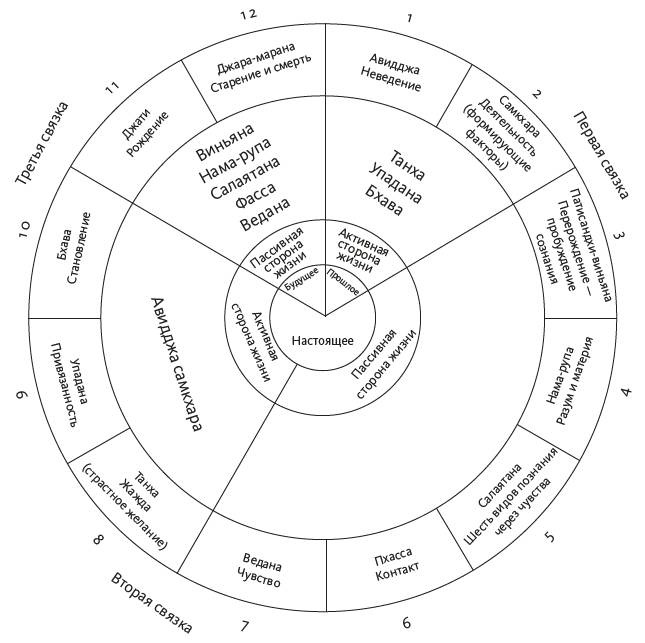 Иллюстрация к книге — Зависимый мозг. От курения до соцсетей. Почему мы заводим вредные привычки и как от них избавиться [i_002.jpg]