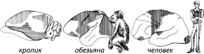 Иллюстрация к книге — Занимательная психология [i_013.jpg]