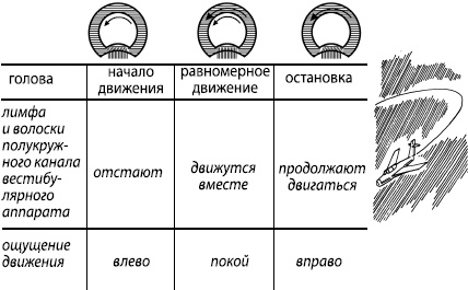 Иллюстрация к книге — Занимательная психология [i_046.jpg]