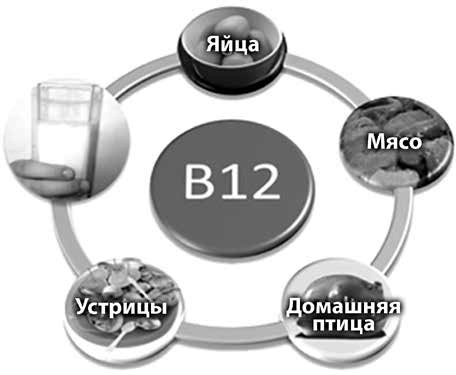 Иллюстрация к книге — Веганское сыроедение и здоровый образ жизни [i_002.jpg]