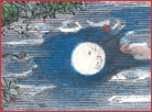 Иллюстрация к книге — Детский университет. Исследователи объясняют загадки мира. Книга первая [i_078.jpg]