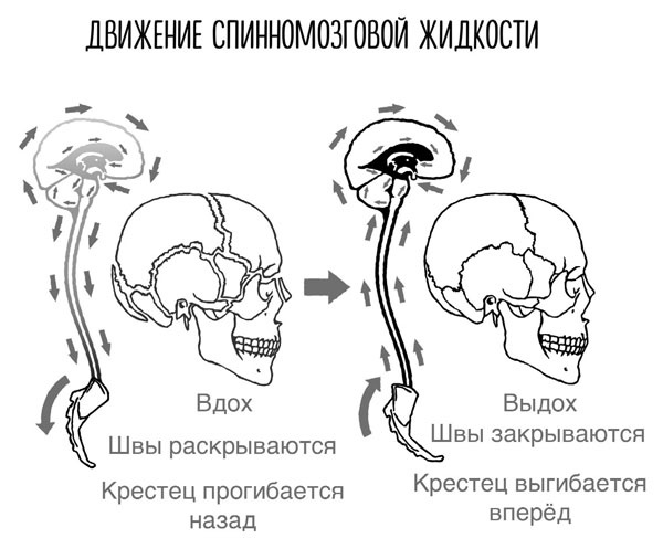Сверхъестественный разум. Как обычные люди делают невозможное с помощью силы подсознания