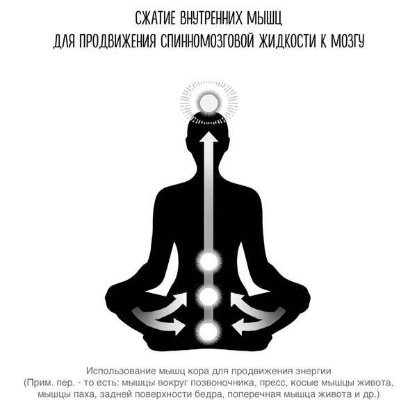 Сверхъестественный разум. Как обычные люди делают невозможное с помощью силы подсознания