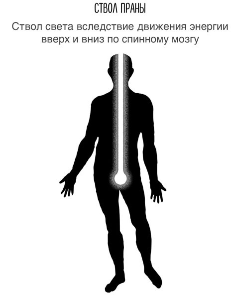 Сверхъестественный разум. Как обычные люди делают невозможное с помощью силы подсознания