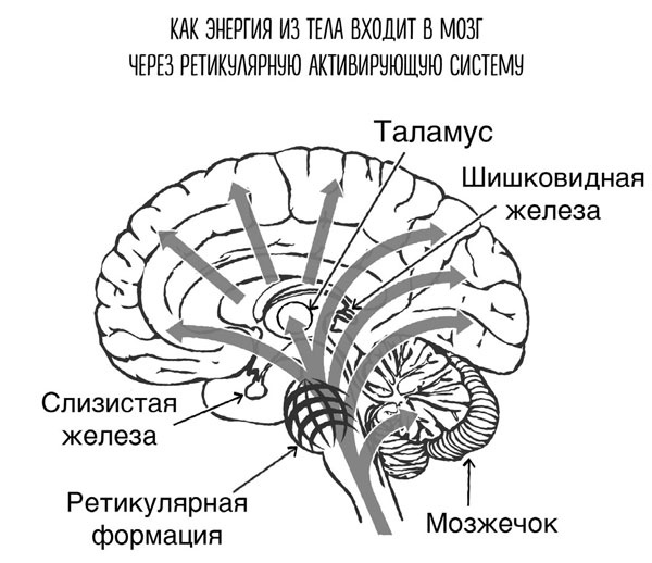 Сверхъестественный разум. Как обычные люди делают невозможное с помощью силы подсознания