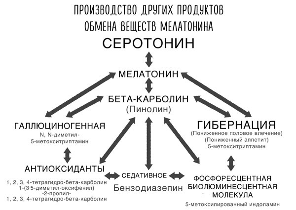 Сверхъестественный разум. Как обычные люди делают невозможное с помощью силы подсознания