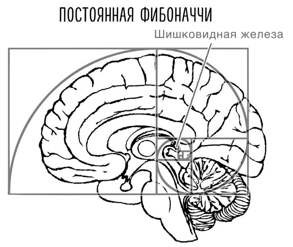 Сверхъестественный разум. Как обычные люди делают невозможное с помощью силы подсознания