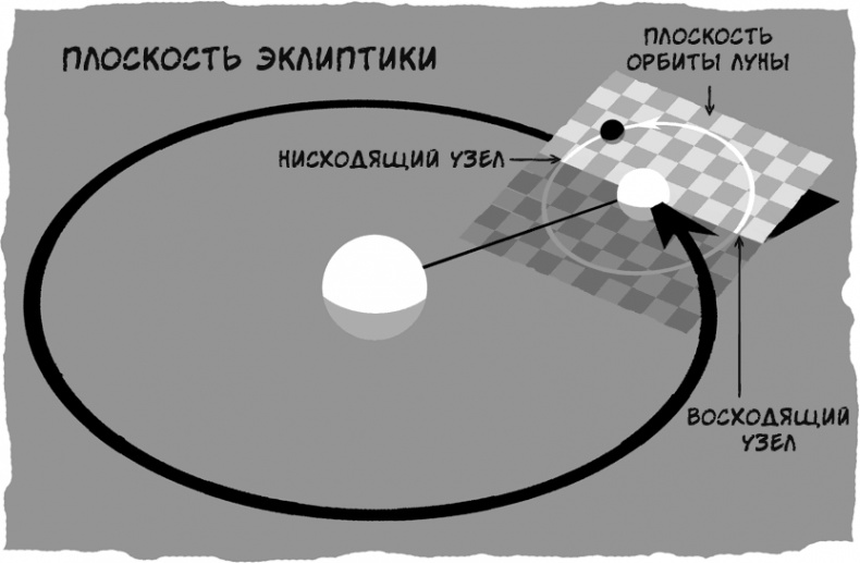 Иллюстрация к книге — Тайны чисел. Математическая одиссея [i_145.jpg]