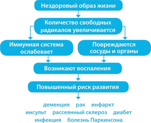 Иллюстрация к книге — Скандинавский секрет. Простые правила здоровой и счастливой жизни [i_002.jpg]