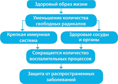Иллюстрация к книге — Скандинавский секрет. Простые правила здоровой и счастливой жизни [i_003.jpg]