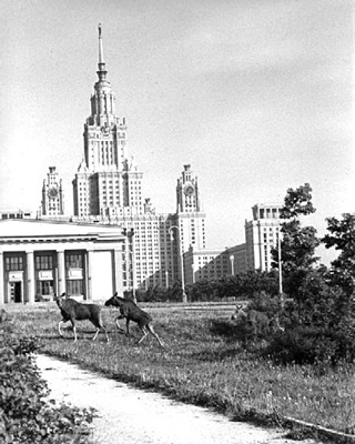 Иллюстрация к книге — Как было на самом деле. Каждая история желает быть рассказанной [i_122.jpg]