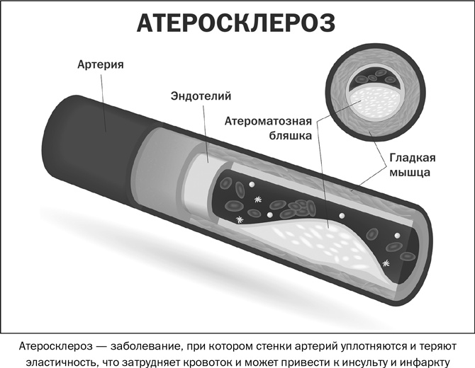 Иллюстрация к книге — Здоровое питание в вопросах и ответах [i_009.jpg]