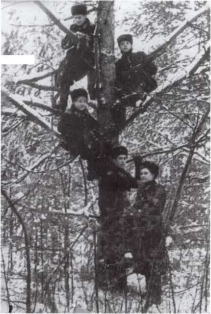 Иллюстрация к книге — Громов [i_017.jpg]