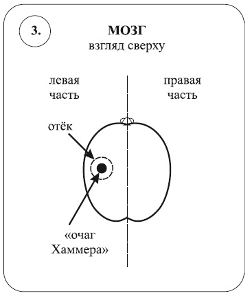 Иллюстрация к книге — Исцеление воспоминанием [i_010.jpg]