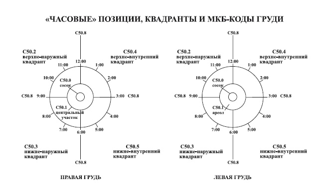 Иллюстрация к книге — Исцеление воспоминанием [i_011.jpg]