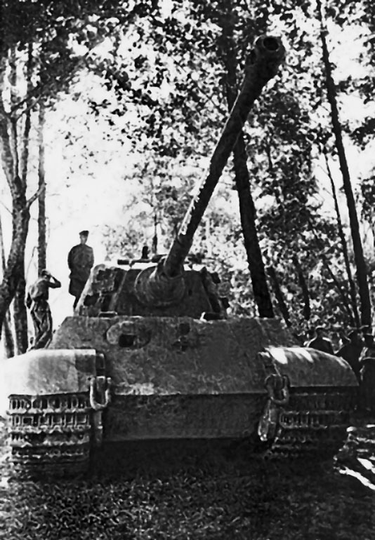 Иллюстрация к книге — Танковая гвардия в бою [autogen_ebook_id205.jpg]