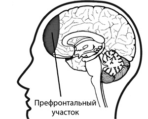 Иллюстрация к книге — Думай как математик. Как решать любые задачи быстрее и эффективнее [_3.jpg]