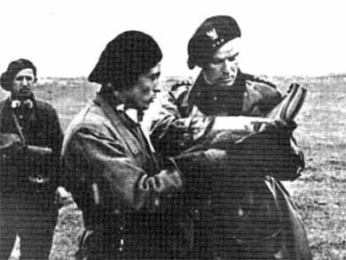 Иллюстрация к книге — Польская армия. 1939-1945 [i_009.jpg]