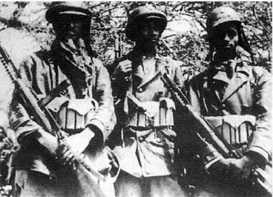 Иллюстрация к книге — Итальянская армия. 1940 - 1943. Африканский театр военных действий [i_003.jpg]