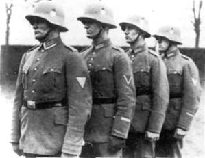 Иллюстрация к книге — Немецкая армия 1939-1940 [any2fbimgloader0.jpg]