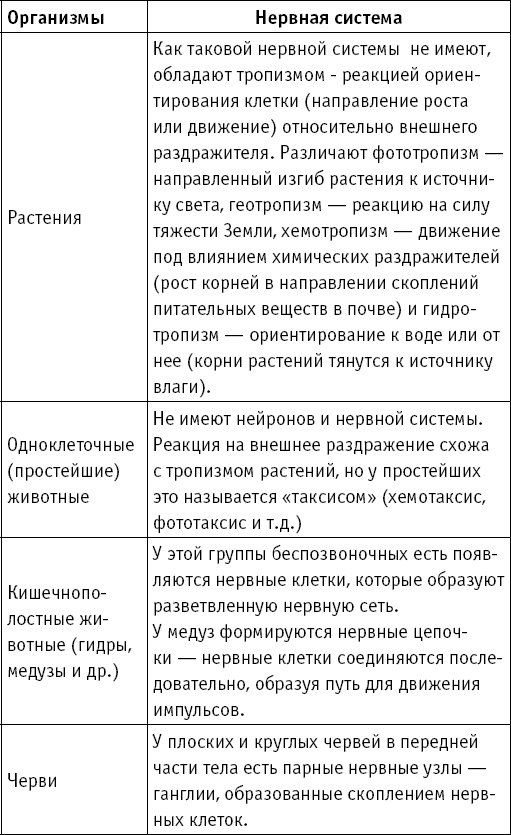Анатомия на пальцах