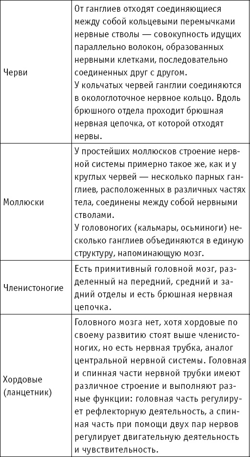 Анатомия на пальцах