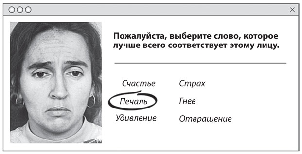 Иллюстрация к книге — Как рождаются эмоции. Революция в понимании мозга и управлении эмоциями [i_010.jpg]