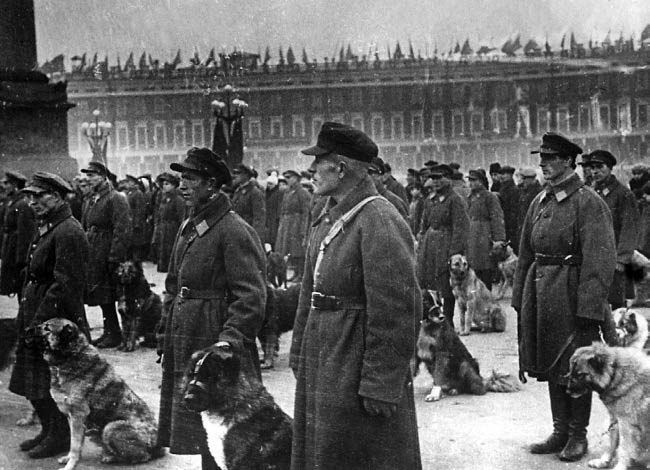 Иллюстрация к книге — Уголовный розыск. Петроград - Ленинград - Петербург [img_id033.jpg]