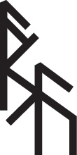 Иллюстрация к книге — Руны. Теория и практика работы с древними силами [i_057.jpg]