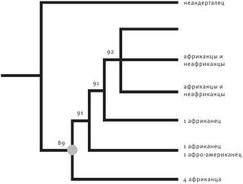 Иллюстрация к книге — Неандерталец. В поисках исчезнувших геномов [_5.jpg]