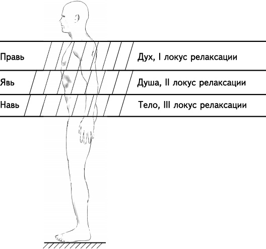 Иллюстрация к книге — Своды Славянской гимнастики [_47.jpg]