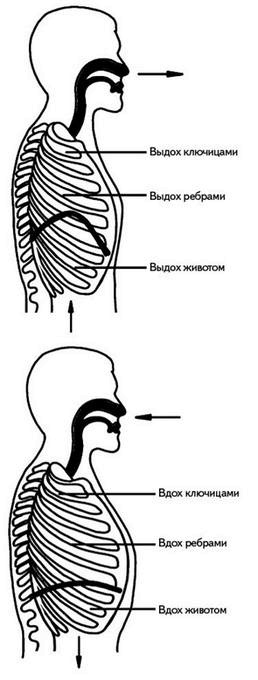 Иллюстрация к книге — Жизнь без боли в спине. Лечение сколиоза, остеопороза, остеохондроза, межпозвонковой грыжи без операции [i_125.jpg]