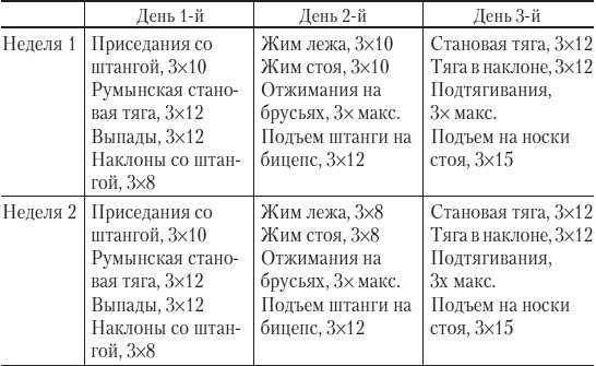 Иллюстрация к книге — Силовой тренинг. Как нарастить силу, занимаясь без тренера [i_058.jpg]